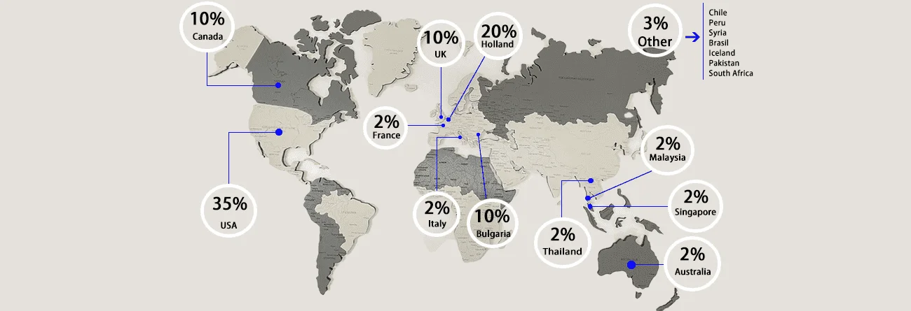 Market Distribution Diagram